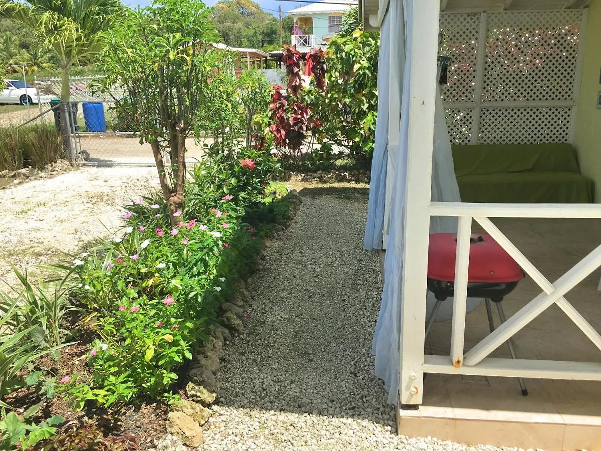 Azalea Cottages - 5 Minutes Walk To The Beach! Άγιος Ιάκωβος